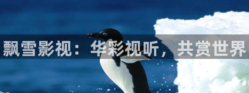 悠久影院观看免费电影