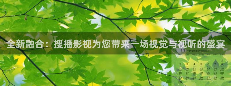 悠久影院免费看电视剧：全新融合：搜播影视为您带来一场视觉与视听的盛宴